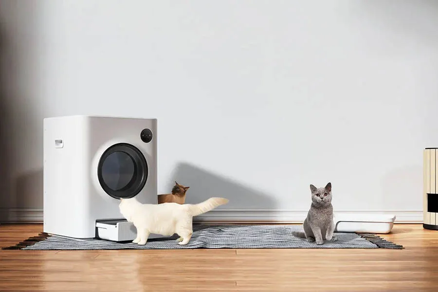 best litter boxes for cats