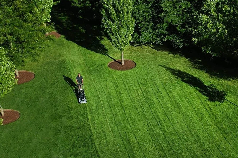 battery powered small lawn mower
